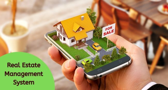 realestate software
